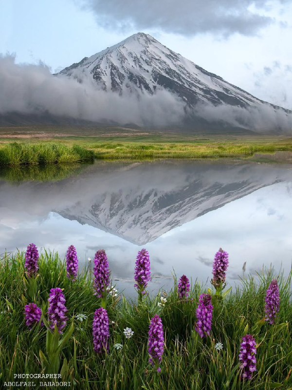 National Geographic farsi: دماوند با شکوه 🏔📸 ابوالفضل بهادری🌏 | @NationalGeographicFarsi
