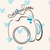 @ dashu cam