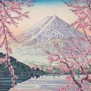 كتب يابانية / japanese books / 日本の本