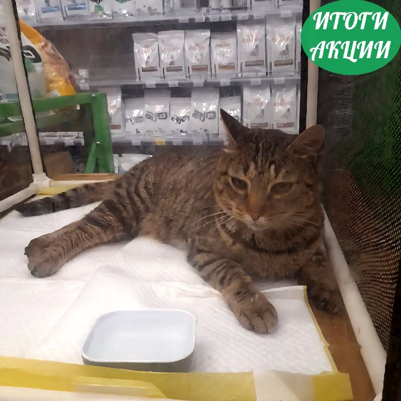 В минувшую субботу мы вновь приняли участие в...