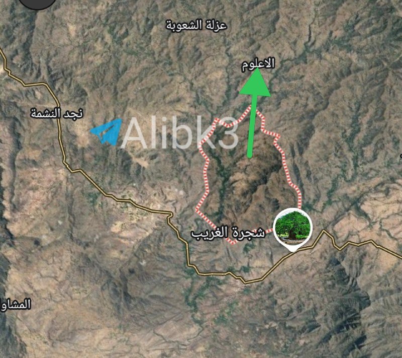 The Yemeni forces control the Al-Akhmor area, and are advancing towards the village and the house of the fugitive President Al-Alimi in the village of Alalum.