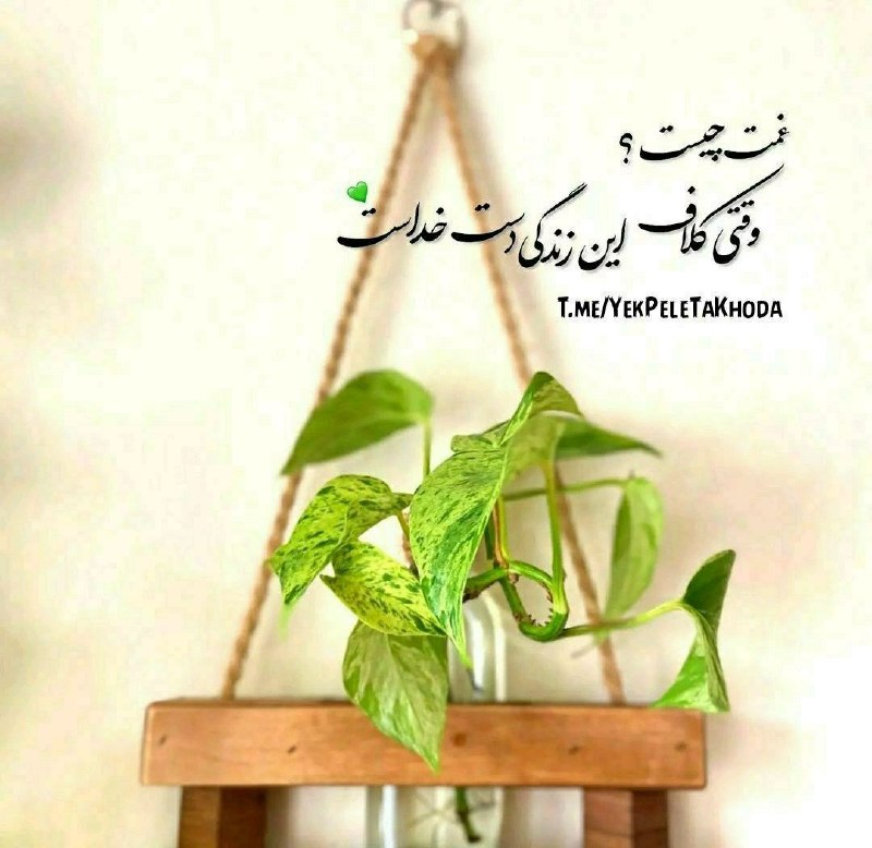 ۞یک پله تا ملاقات خدا۞: 🌹 @YekPeleTaKhoda✨پروردگارا...🌸آرامش نابت و عطر مهربانیت را بر لوح دلم 🕊سرازیر کن تا هیچگاه در کِشاکِش زندگی🌸خودم را نبا