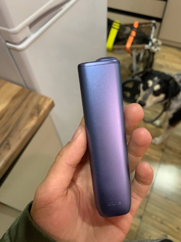 Отдам бесплатно — фото 1