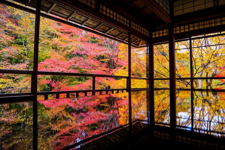 疫情後的第一次京都紅葉見頃【下篇】