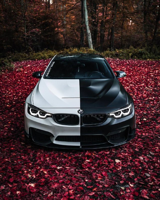 BMW M4 F82🤍🖤