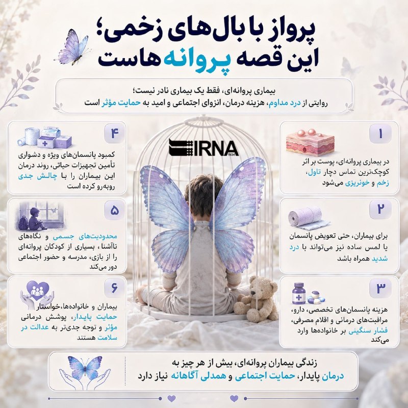 📋מידע על טיסת IRNA עם כנפיים פצועות; זהו סיפורם של פרפרים