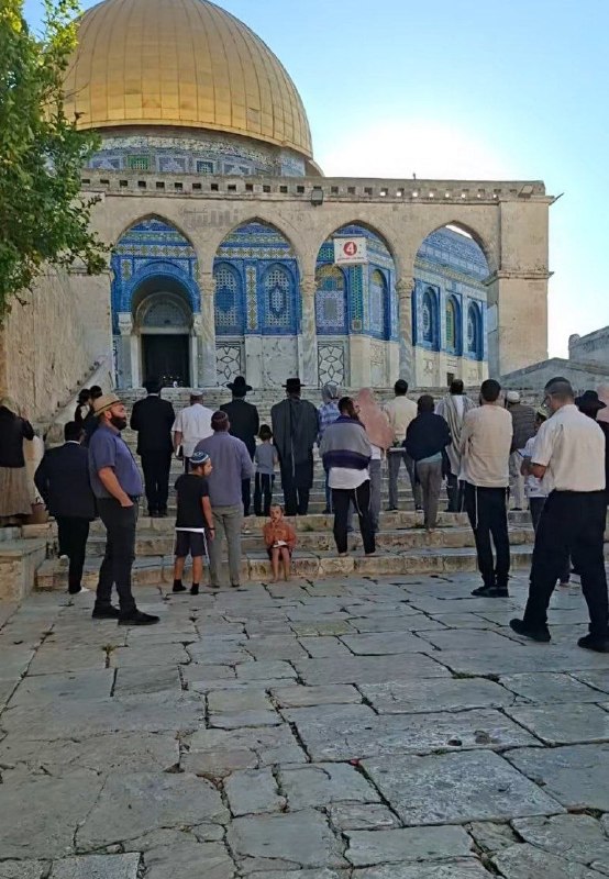 חילול קודש יומי... מתנחלים עורכים טקסים תלמודיים מול כיפת הסלע במהלך הסתערותם על מסגד אל-אקצא, הבוקר.