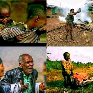 Editing photo wiz adobe Telegram Group Link