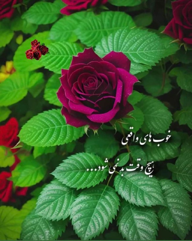 💞پندانه💞: رسانه پست
