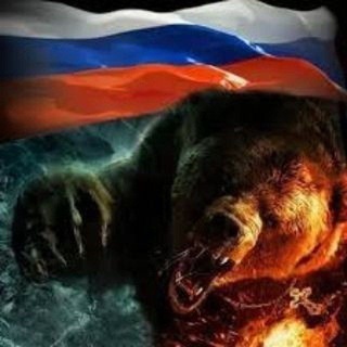 Telegram profile photo for Медведь