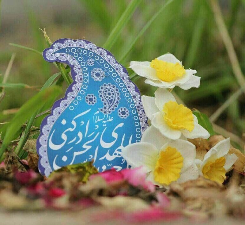 تابان تربت | اخبار تربتحیدریه: 🌺جلوه گل عندلیبان را غزل خوان میکندنام مهدی صد هزاران درد درمان میکند🌺مدعی گوید که با یک گل نمیگردد بهارمن گلی دارم ک