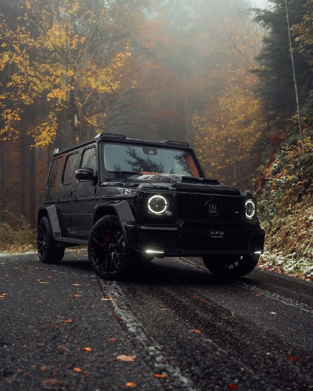 Mercedes benz g class (w464) Brabus