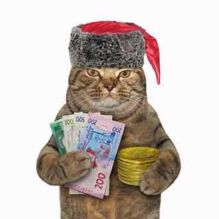 Продаж Котів | Sale Cats