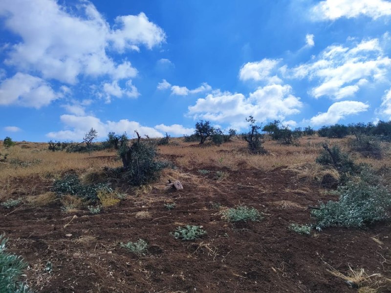 רשת חדשות ירושלים