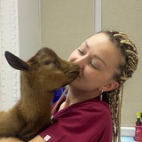 Exotic Vet