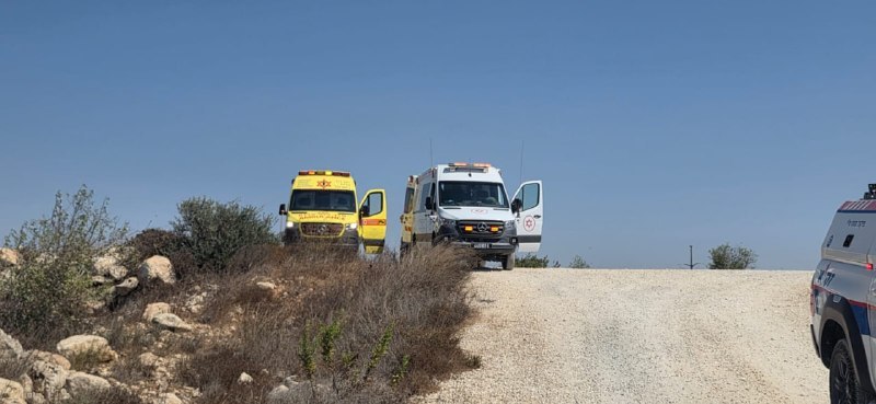 ניצן שפירא