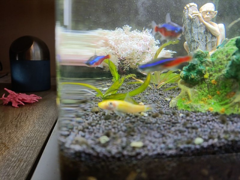 Фото 3