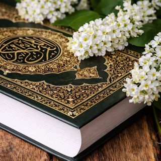 قناه المصداقية والأمانة والثقه❤️