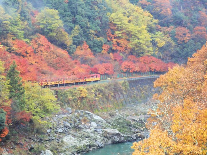 京都賞楓--保津峽/常寂光寺/北野天滿宮/嵐山渡月橋