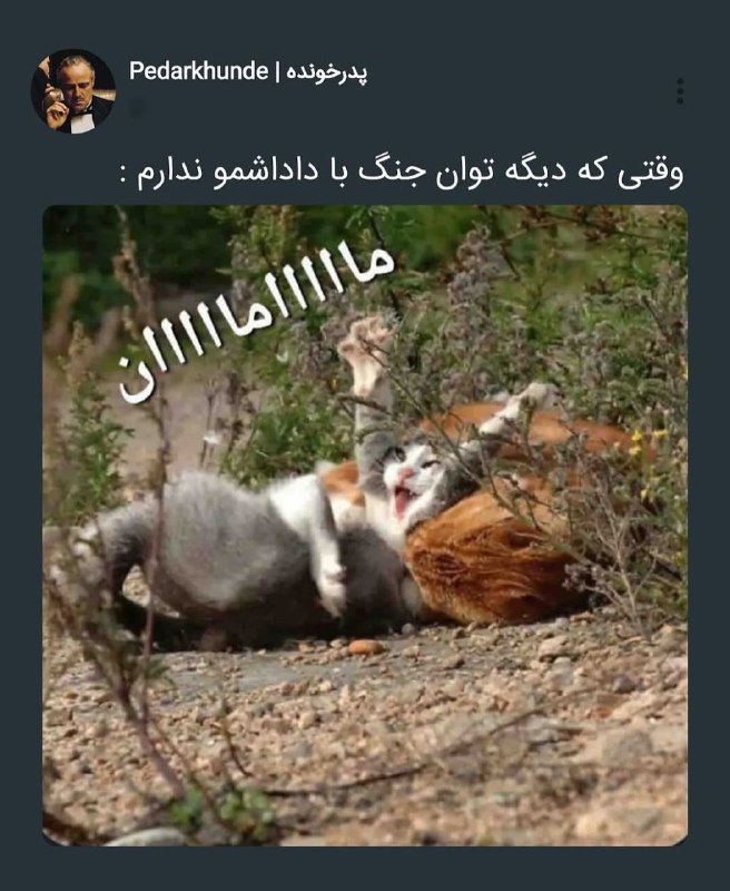 کافه فان: @Kafeh_Fun👻