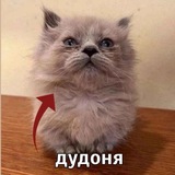 Внезапный дэб