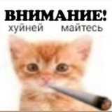 Ванюшина барахолка🤤
