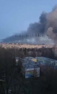 Политика Страны