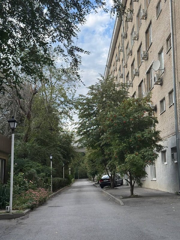 Image from a post by Марина Балмашева