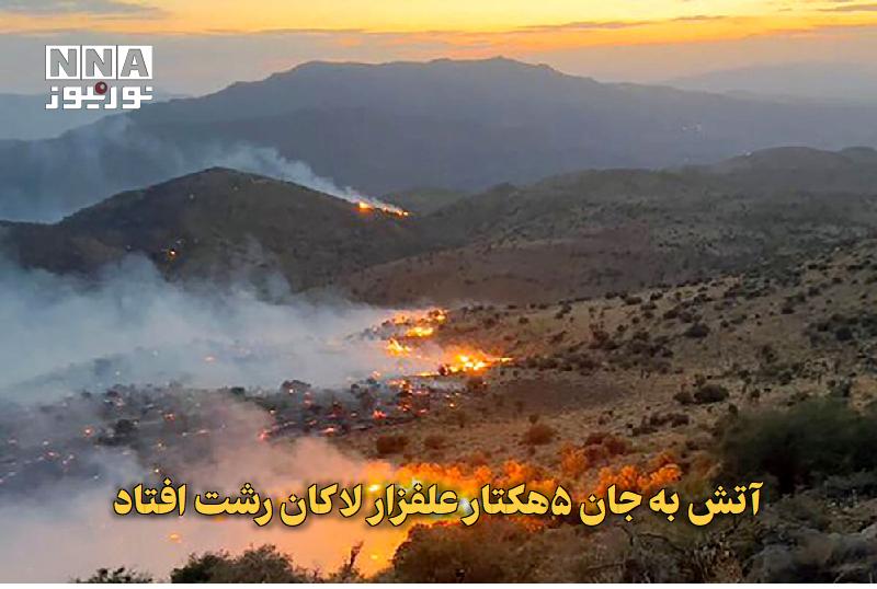 نورنیوز: ✅ آتش به جان ۵هکتار علفزار لاکان رشت افتاد🔹 آتش‌سوزی در زمین‌های بایر منطقه لاکان رشت، پنج هکتار از علفزارها را درگیر کر