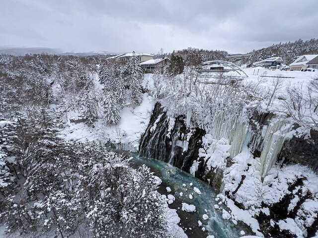 25-26雪季：北海道移動旅行（20260202、05、07、11）