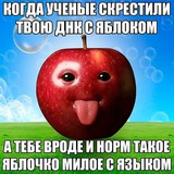 ㅤ﹫ победы бими