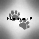 хумнямням || cdt