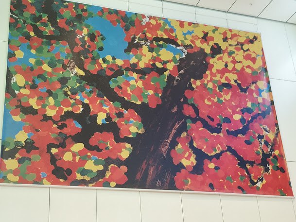 2019年聖誕節台灣6天自駕遊