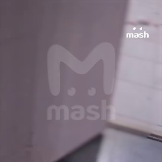 Напавший на общежитие БГМУ разгромил весь этаж, поджигал петарды и пытался проникнуть в комнаты, где забаррикадировались студенты.Он ранил шесть человек, всех доставили в больницу, двоих — в тяжёлом состоянии. Предварительно, при задержании неадекват пытал