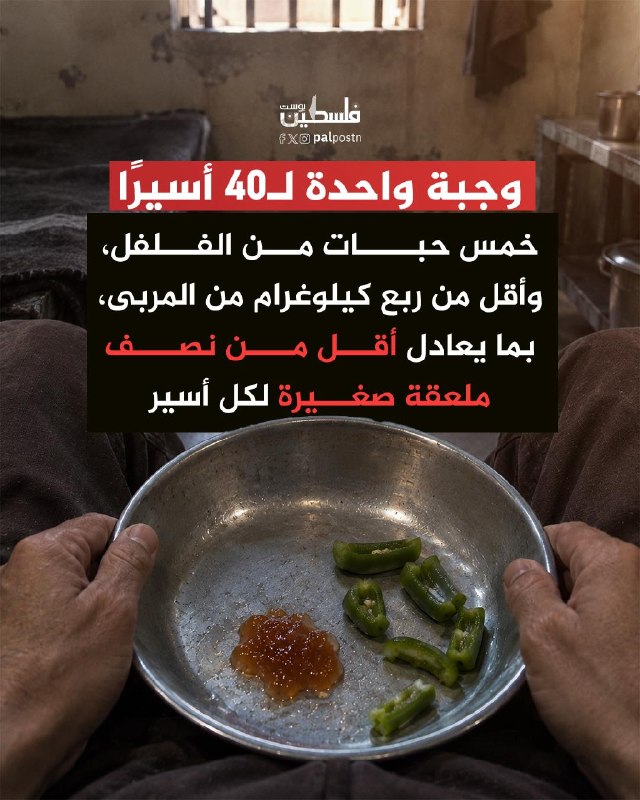 ארוחת הבוקר הניתנת ל-40 אסירים אינה עולה על חמישה פלפלים, שחלקם בלתי אכיל, ופחות מרבע קילוגרם ריבה, שווה ער…