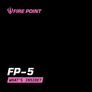 Fire Point released detailed footage of its FP-5 Flamingo cruise missile.