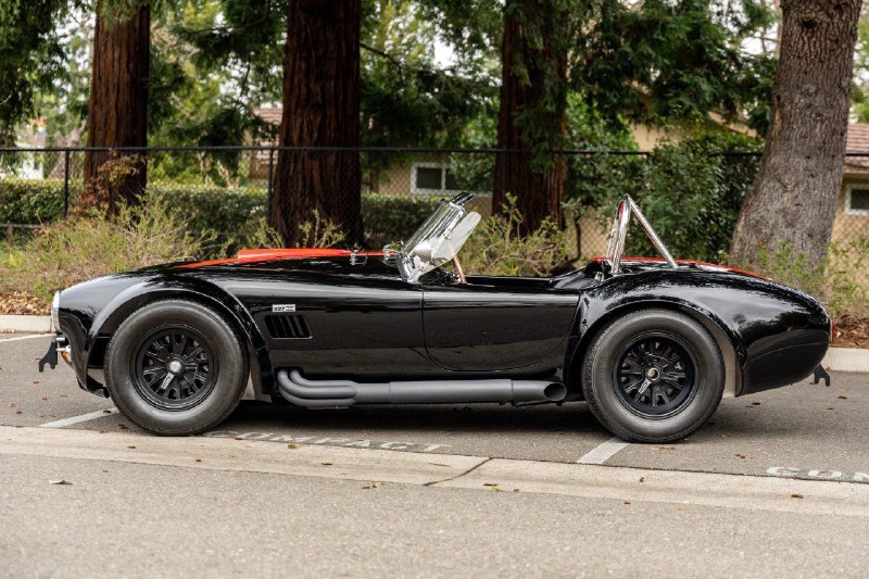 Shelby Cobra CSX6000 5