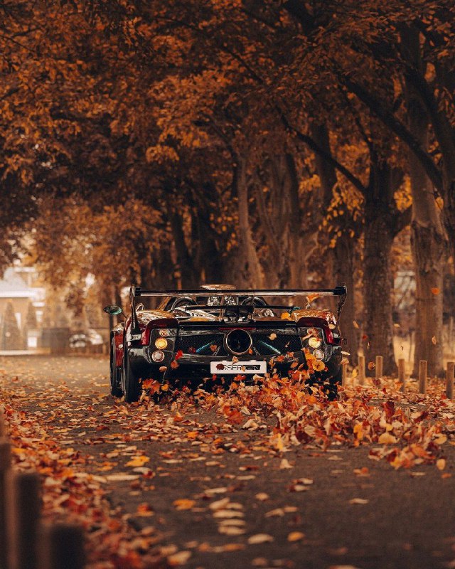 Pagani Zonda MY Roadster 8