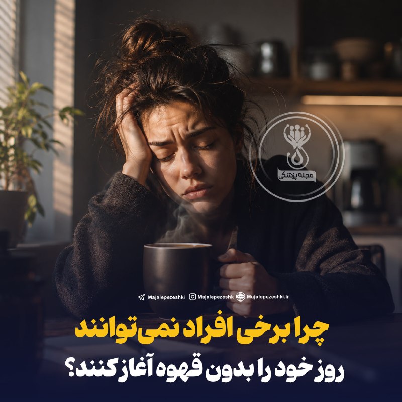 مجله پزشکی: چرا برخی افراد نمیتوانند روز خود را بدون قهوه آغاز کنند؟وابستگی روزانه به قهوه همیشه به معنای کمبود انرژی نیست. کافئین