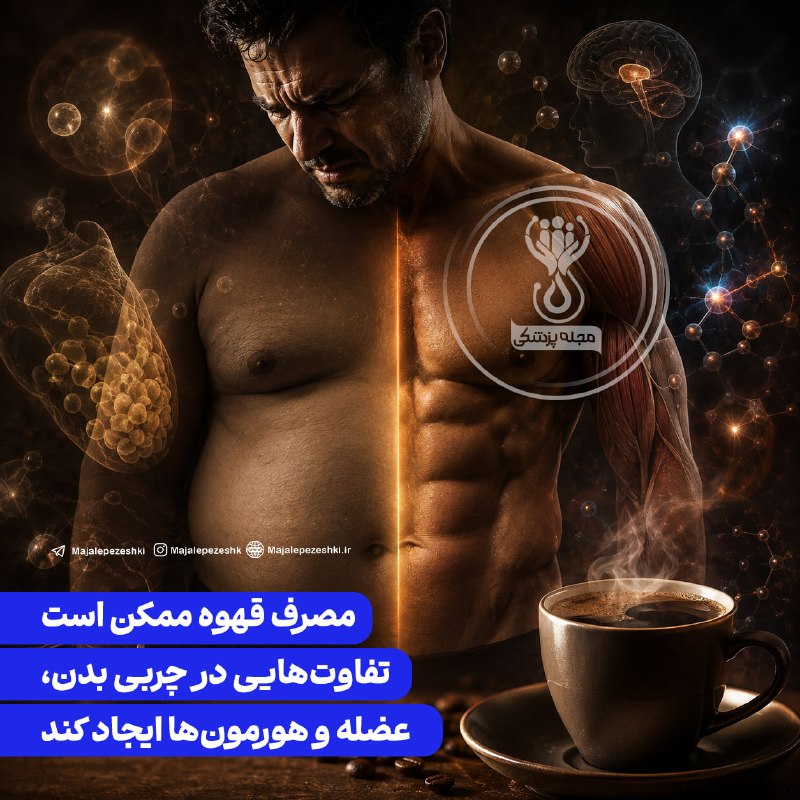 مجله پزشکی: مصرف قهوه ممکن است تفاوتهایی در چربی بدن، عضله و هورمونها ایجاد کند◽️پژوهشی از دانشگاه اولو فنلاند نشان میدهد مصرف من