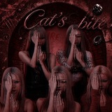 𝘾𝘼𝙏𝙎 .•°𝘽𝙄𝙏𝙀/✞ ᶜᵛᵍ