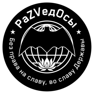 раZVедОсы Telegram channel profile photo