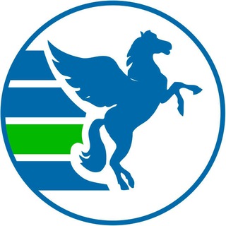 Telegram profile photo for Pegas Touristik Чита