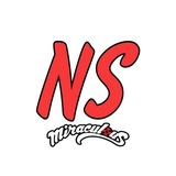 NS | ЛедиБаг и Супер Кот
