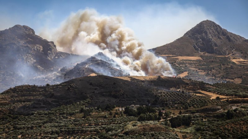 השבוע בתמונות: שריפות בר אירופאיות, ממותה צמרית ונהירה של מהגרים בסאוטה בספרד