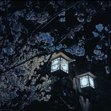 𝐕𝐨𝐢𝐜𝐞𝐬 𝐎𝐟 𝐓𝐡𝐞 𝐏𝐚𝐬𝐭 [𝐢𝐧𝐟𝐨]