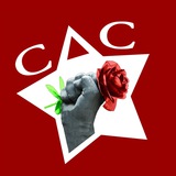 СДС