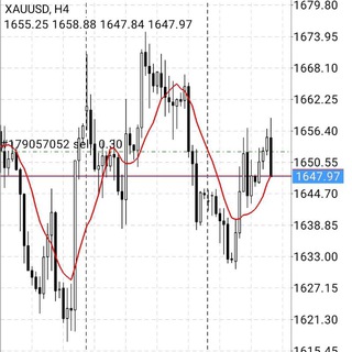 FOREX CHAT ROOM Telegram Group Link