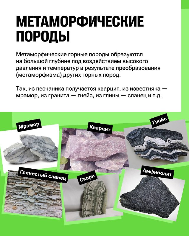 Иллюстрация к посту канала Полина Белова | География ЕГЭ | 100балльный репетитор