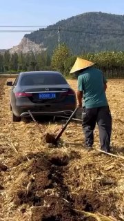 Тем временем в Китае